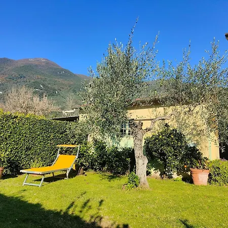 Casa La Pergola In * Camaiore